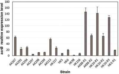 Characterization of Tigecycline Resistance Among Tigecycline Non-susceptible Klebsiella pneumoniae Isolates From Humans, Food-Producing Animals, and in vitro Selection Assay